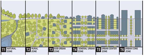 transect